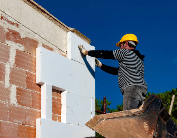 Best Insulation Removal Services  in Enochville, NC