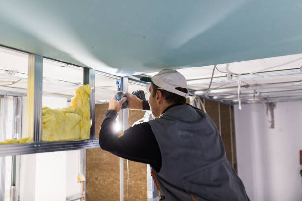 Best Spray Foam Insulation  in Enochville, NC