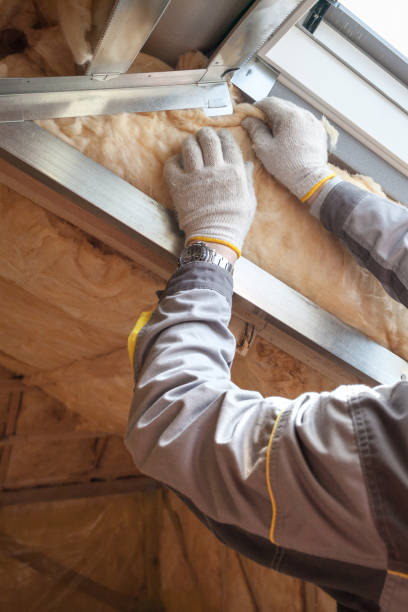 Best Energy-efficient Insulation  in Enochville, NC