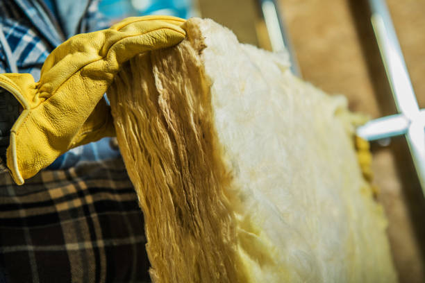 Best Insulation Contractor Near Me  in Enochville, NC