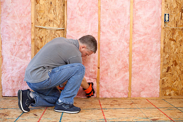 Best Professional Insulation Contractor  in Enochville, NC