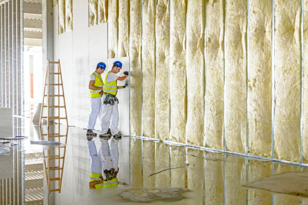 Best Crawl Space Insulation  in Enochville, NC
